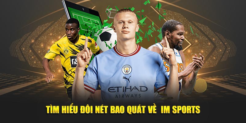 IM Sports – Nền tảng cá cược thể thao đỉnh cao cho mọi người chơi 1 Tìm hiểu bao quát về IM Sports