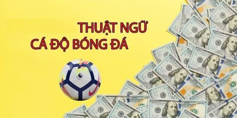 Tổng Hợp Các Thuật Ngữ Cá Độ Bóng Đá Phổ Biến Tại Jun88 1 Khái niệm về thuật ngữ cá độ bóng đá Jun88