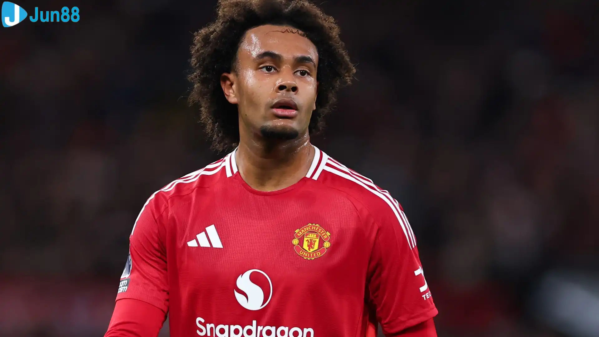 Joshua Zirkzee cân nhắc chuyển tới Como Joshua Zirkzee cân nhắc chuyển tới Como